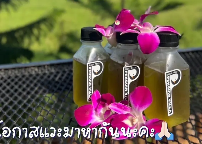 โรงแรม Penguin & Bistro 3*